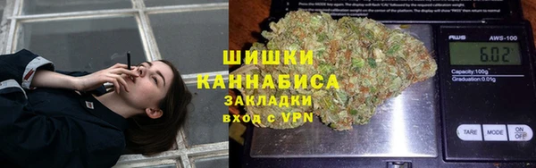 гашик Козельск