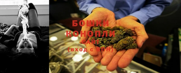 крисы Костерёво