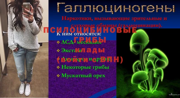 метадон Коряжма