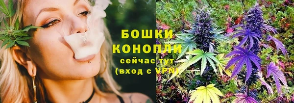 крисы Костерёво