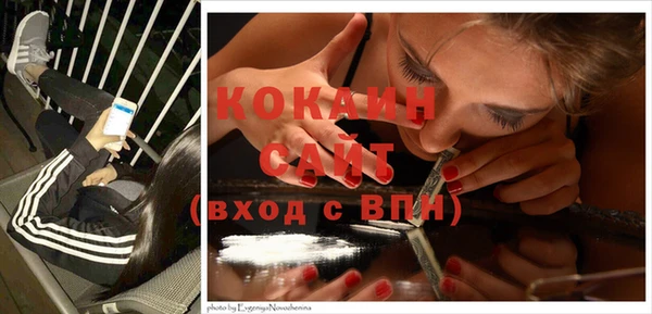 apvp Корсаков