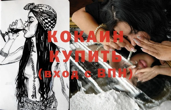 крисы Костерёво
