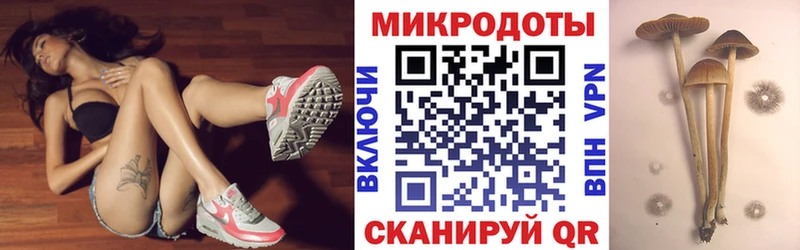Псилоцибиновые грибы Cubensis  Ершов 